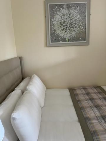 Waverley Inn Flat インヴァネス エクステリア 写真